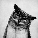 Portret użytkownika fatowl